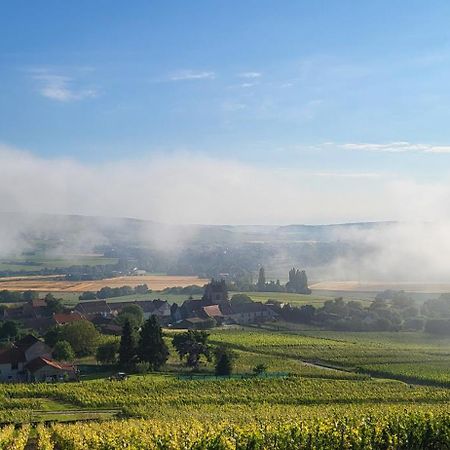 DormansLe Coq De Champagne别墅 外观 照片